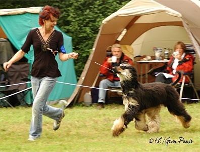 175.GuyaDon_6_11zon