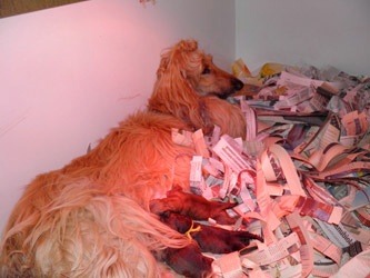 175.agata&puppies-on-the-birth_19_11zon