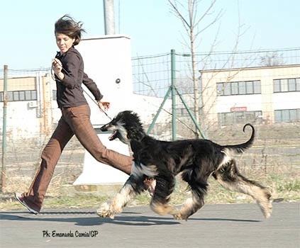 DasyMove6_16_11zon