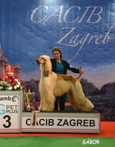 Grinch2_10_11zon
