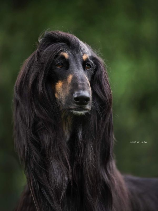 Malcom2023